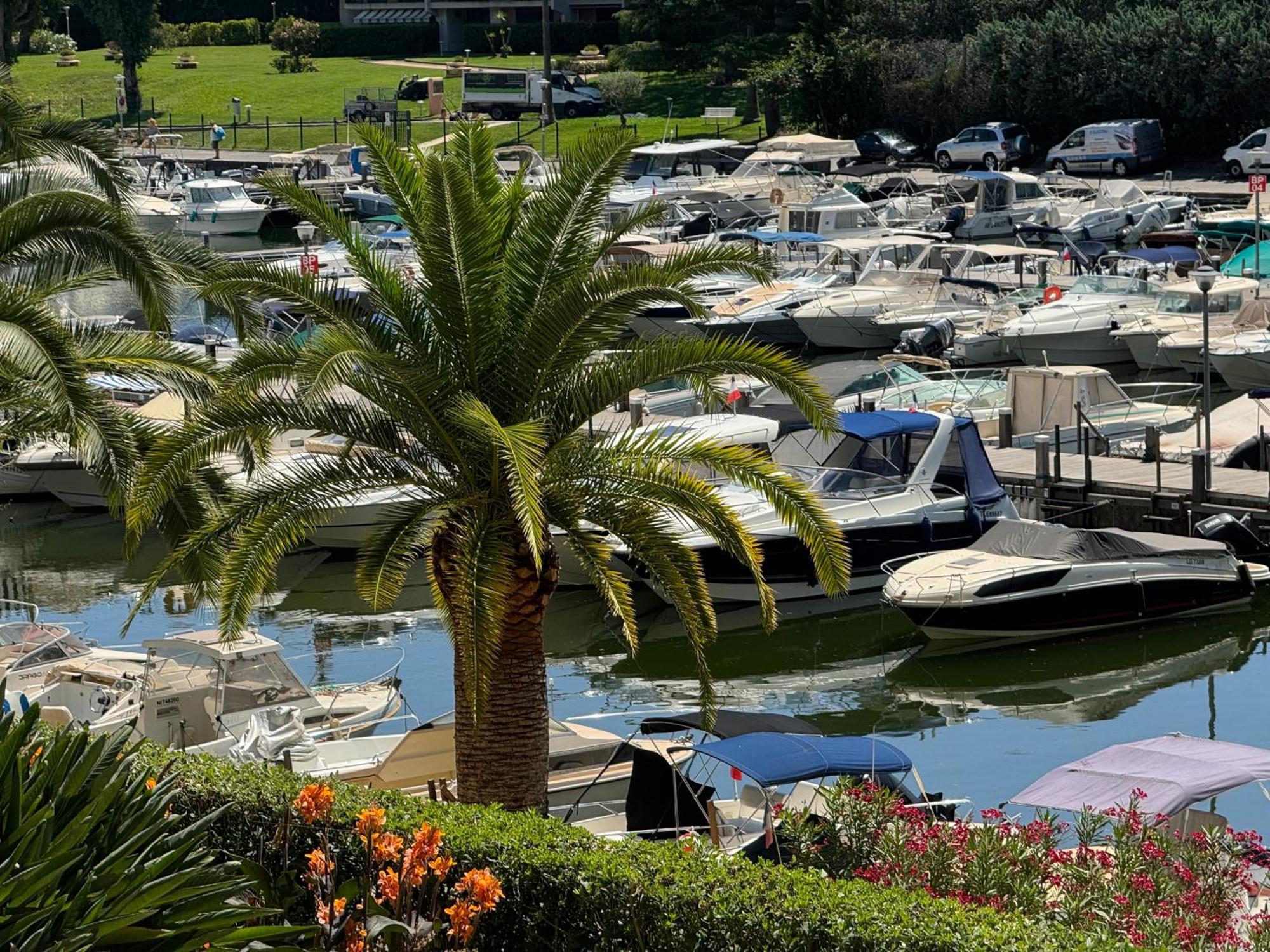 My Resid Appart Cannes Marina Vue Piscine Mandelieu エクステリア 写真